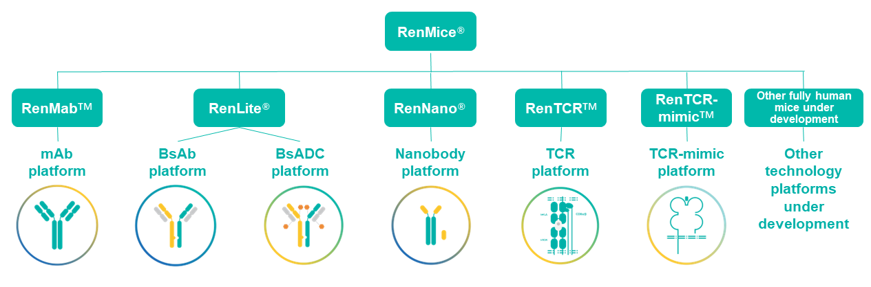 Biocytogen Officially Launches RenMice&reg; Series