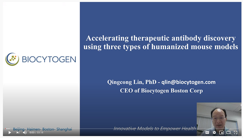 Accelerating Therapeutic Antibody Discovery with Three Distinct Humanized Mouse Models