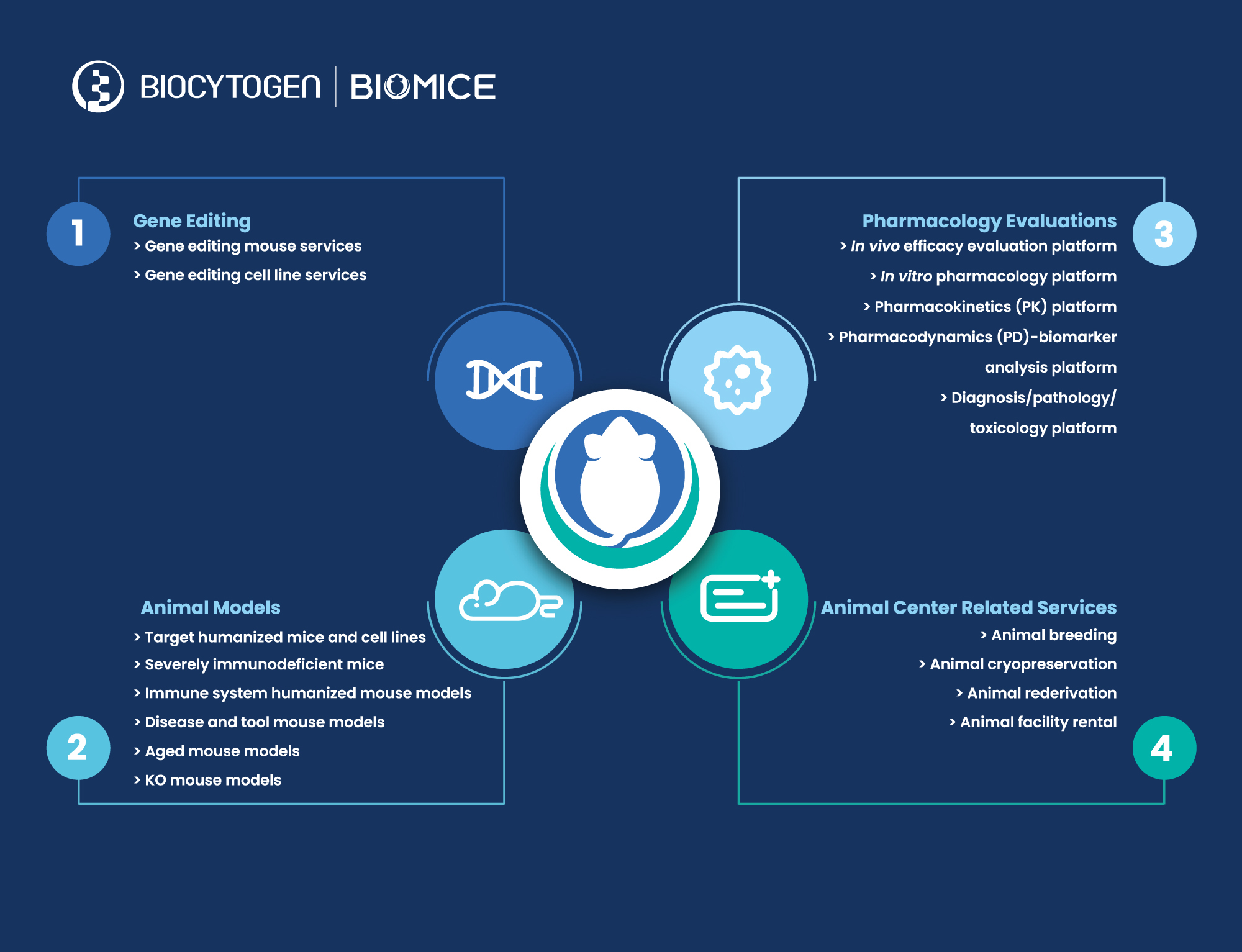 Biocytogen Establishes Two Business Divisions to Distinguish Preclinical Models and Services (BioMice) From Antibody Drug R&D