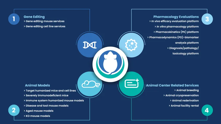 Biocytogen Establishes Two Business Divisions to Distinguish Preclinical Models and Services (BioMice) From Antibody Drug R&D