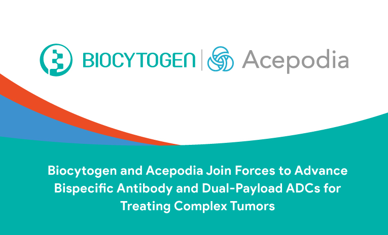 Biocytogen and Acepodia Join Forces to Advance Bispecific Antibody and Dual-Payload ADCs for Treating Complex Tumors
