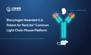 Biocytogen Awarded U.S. Patent for RenLite&reg; Common Light Chain Mouse Platform