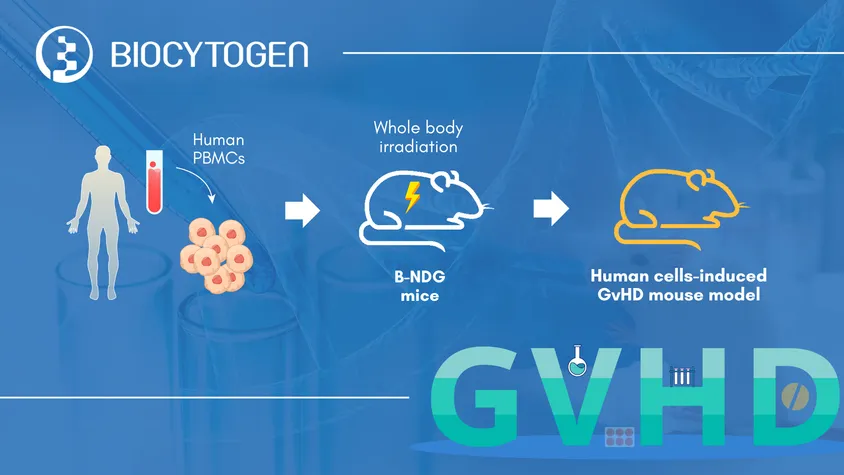 Charting New Frontiers in GvHD Treatment: Insights from Niktimvo™ FDA approval