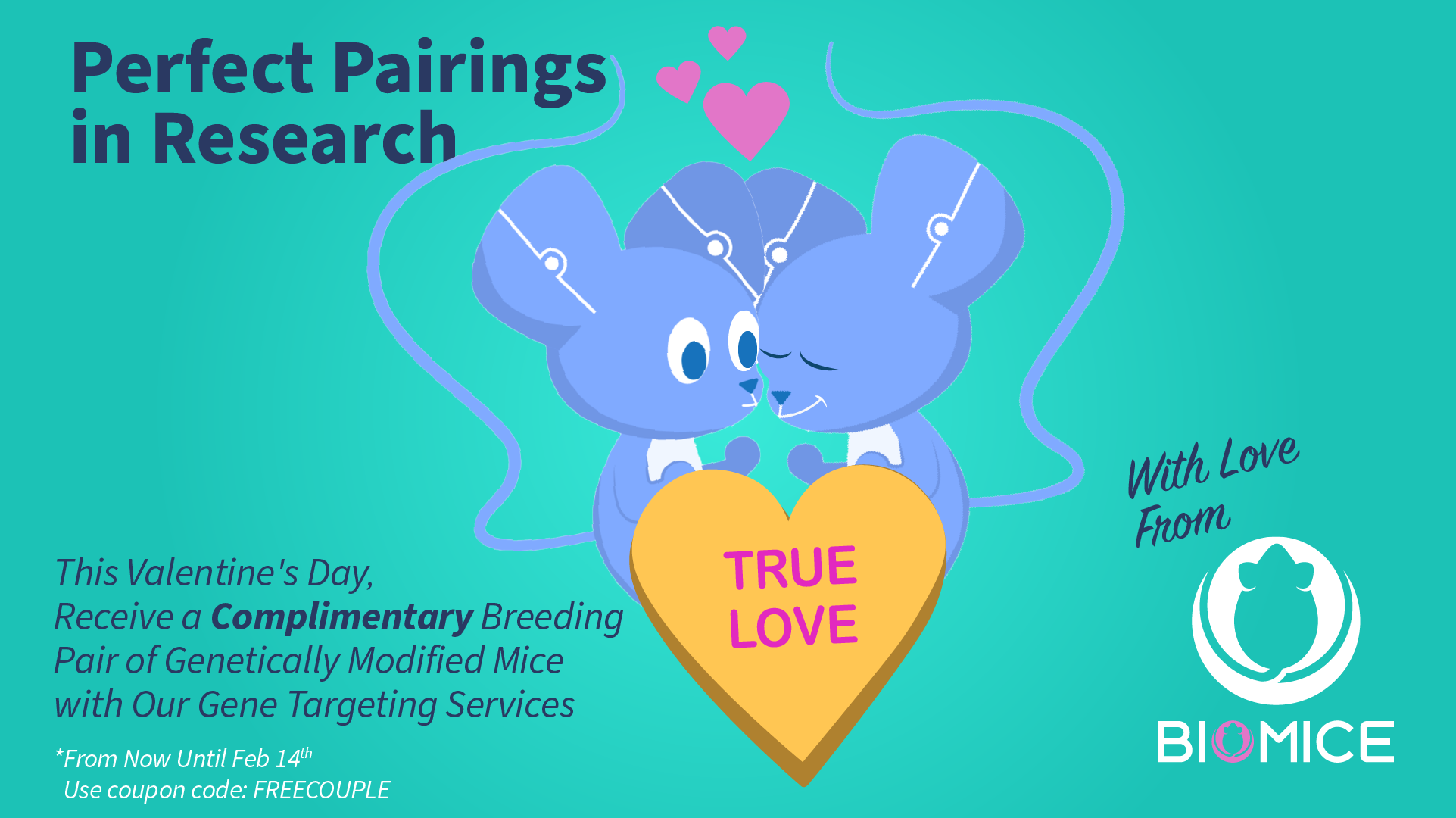 Complimentary Pair of Genetically Modified Mice - Valentine's Day Special Offer