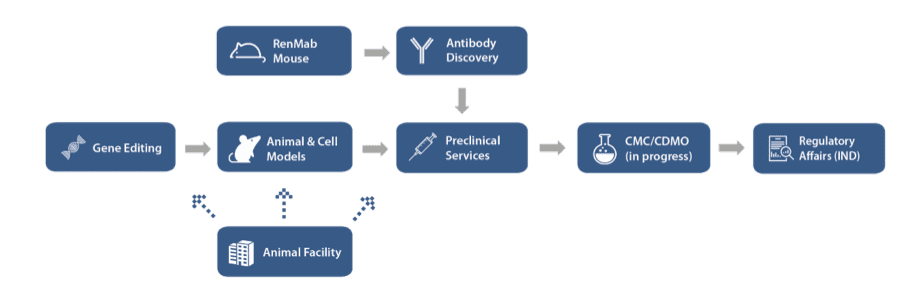 One-stop-and-renmab-mouse-3