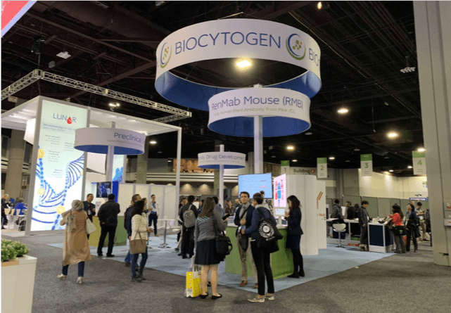 One-stop-and-renmab-mouse-4