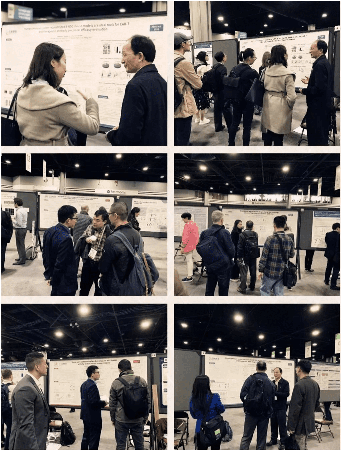 One-stop-and-renmab-mouse-6