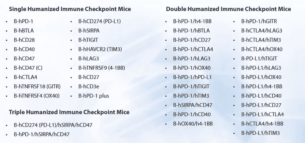 One-stop-and-renmab-mouse-7