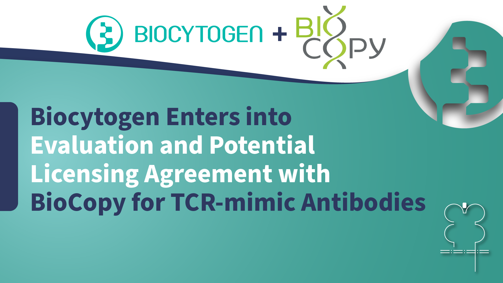 Biocytogen Enters into Evaluation and Potential Licensing Agreement with BioCopy for TCR-mimic Antibodies