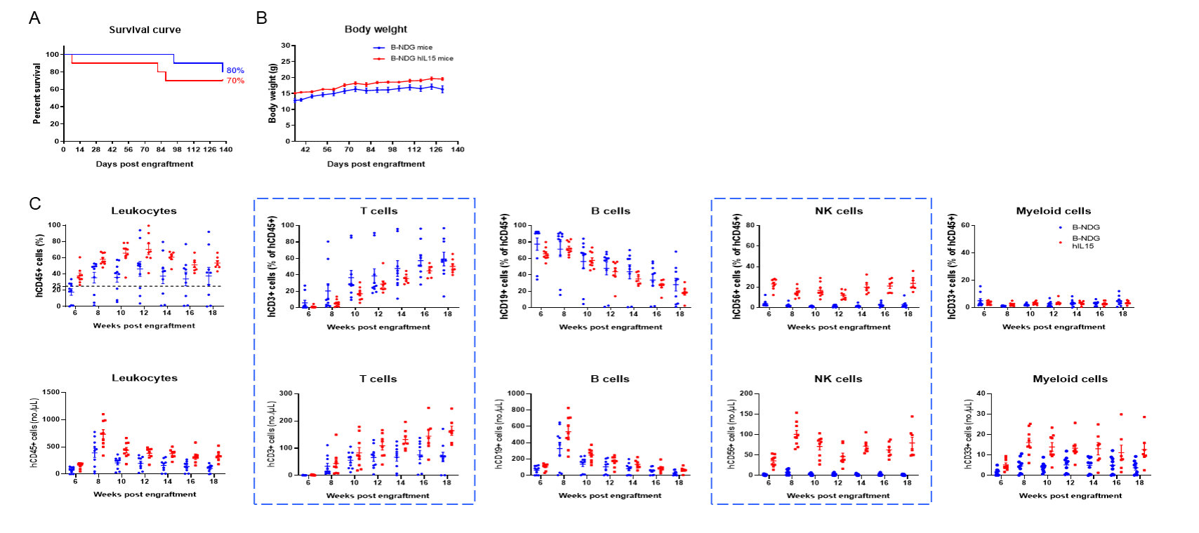 Engraftment of human CD34+ HSCs in neonatal B-NDG hIL15 mice successfully reconstituted human immune cells.
