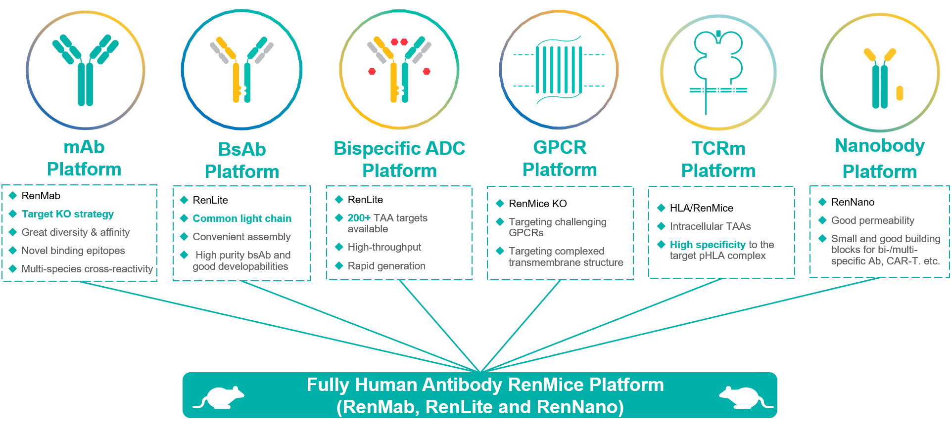 Biocytogen to Host 1-on-1 Meetings at BIO-EUROPE SPRING&reg; 2023
