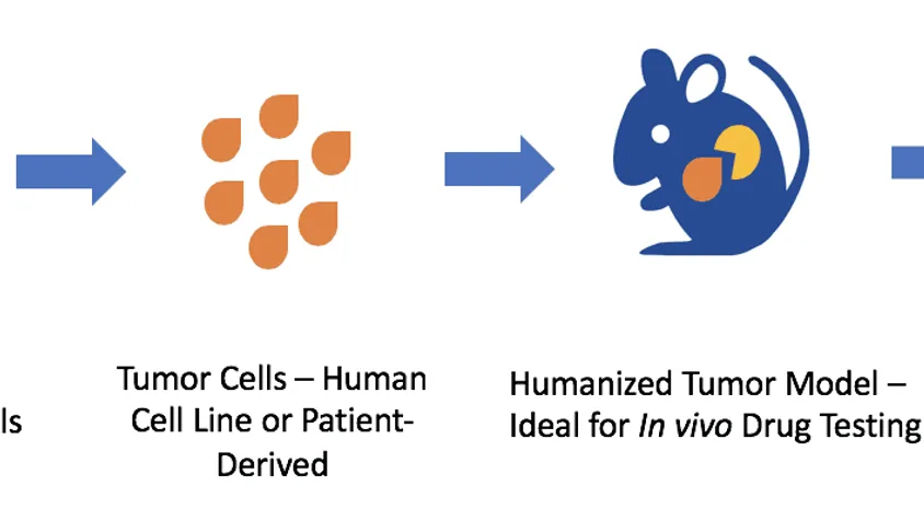 Syngeneic Mouse Models and Humanized Immune-Checkpoint Mice
