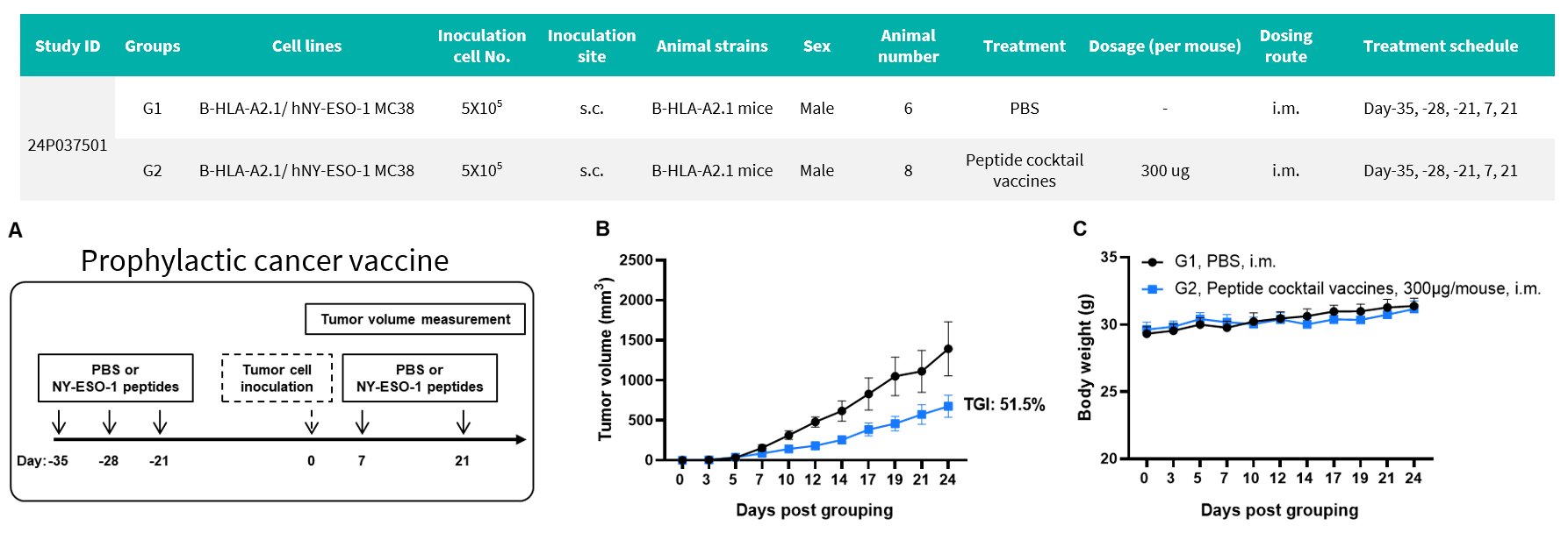 Antitumor activity of NY-ESO-1 peptides against syngeneic tumors. 