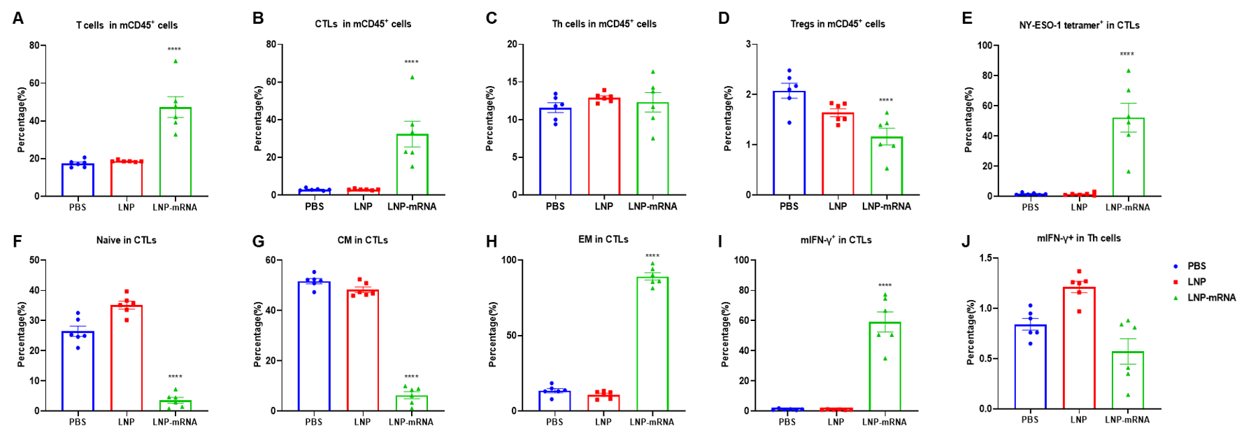 LNP-mRNA vaccination generates specific effector CD8+ T cells in spleens. 