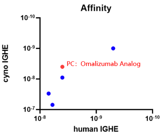 Biocytogen's IGHE antibody clone exhibits higher affinity than omalizumab