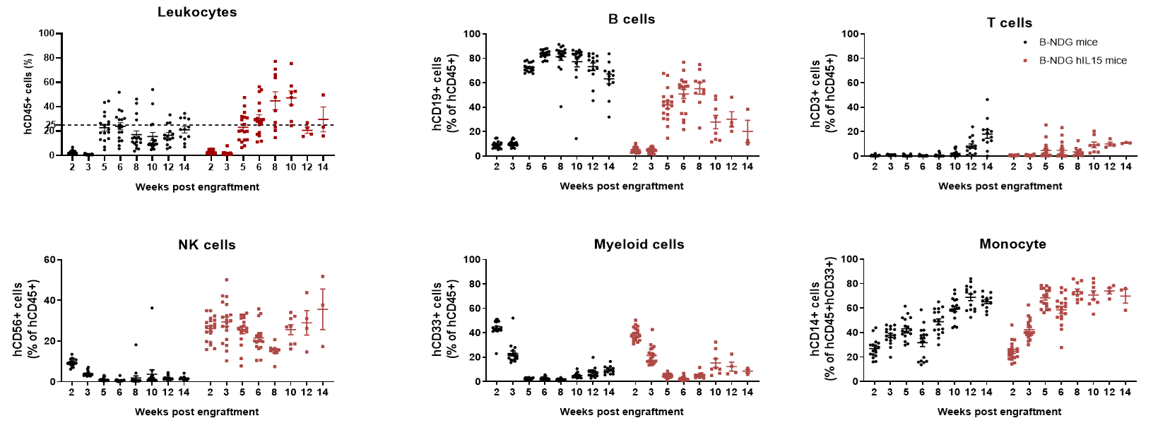 Human immune cell phenotyping in B-NDG hIL15 mice engrafted with human HSCs.
