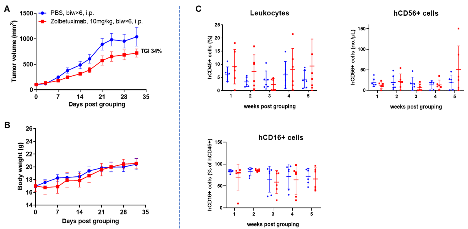 Antitumor activity of anti-human CLDN18.2 antibody in A549 CDX model established with huNK-B-NDG hIL15 mice.
