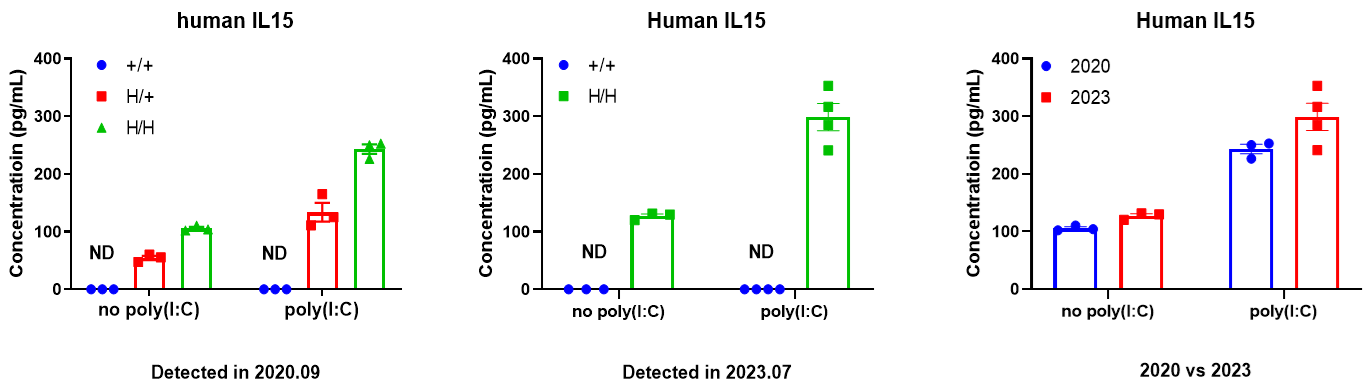 Strain-specific IL15 expression in B-NDG and B-NDG hIL15 mice. 