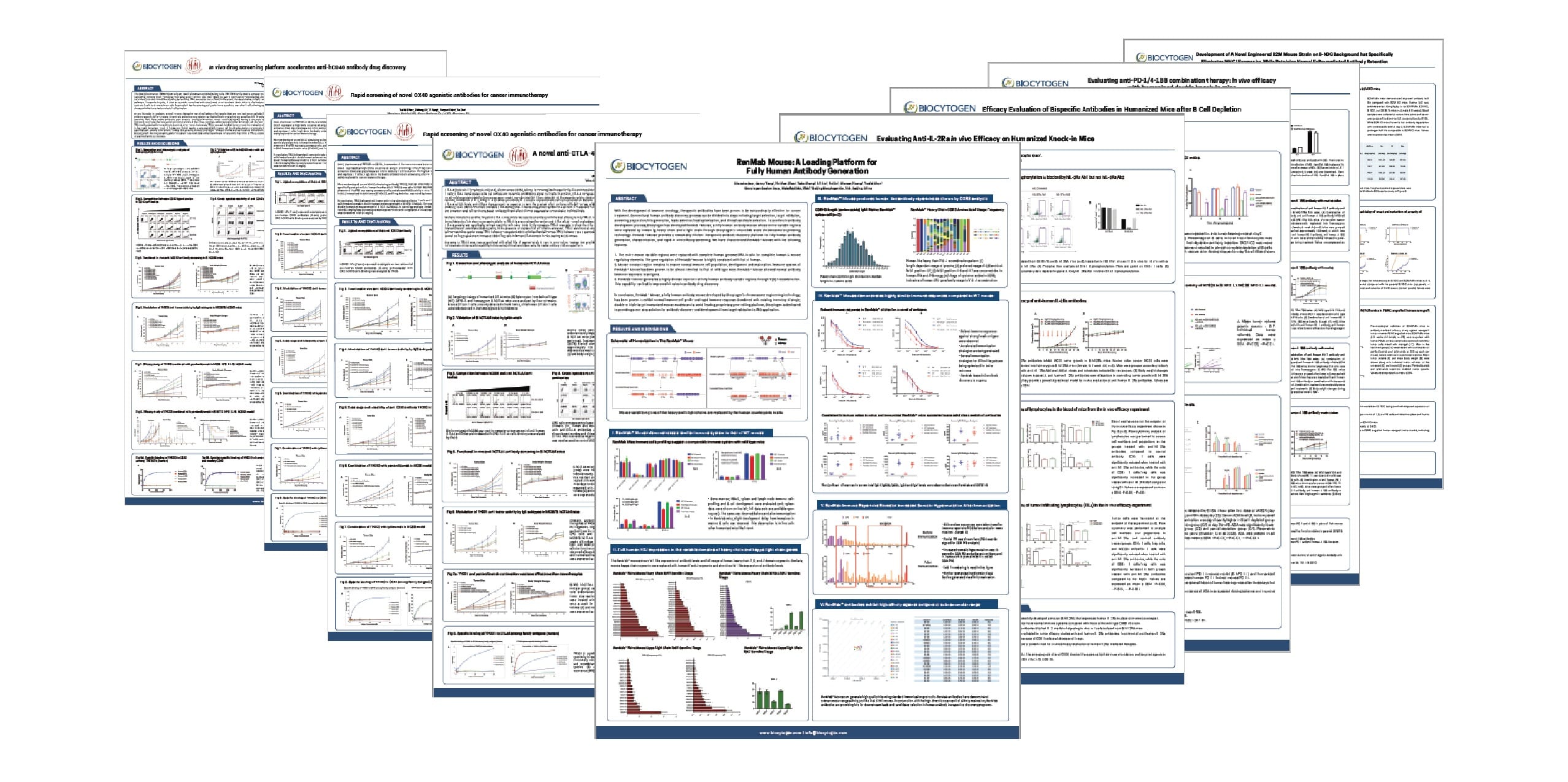 AACR Virtual Annual Meeting II (Poster Session)