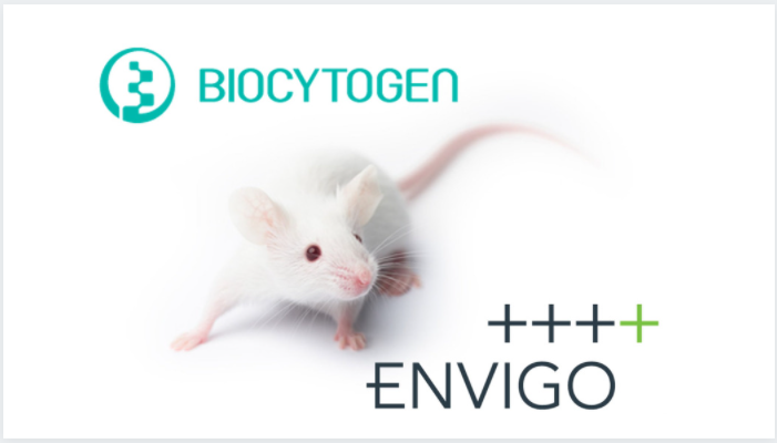 Biocytogen Announces Collaboration With Envigo To Distribute the B-NDG Triple Immunodeficient and Humanizable Mouse Model