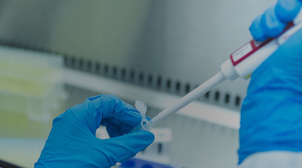 RenMab Mouse: A Leading Platform for Fully Human Antibody Generation