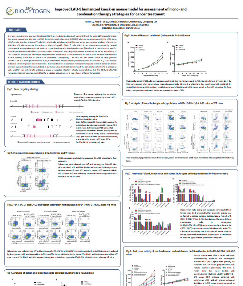 Improved LAG-3 humanized knock-in mouse model for assessment of mono- and 
combination therapy strategies for cancer treatment