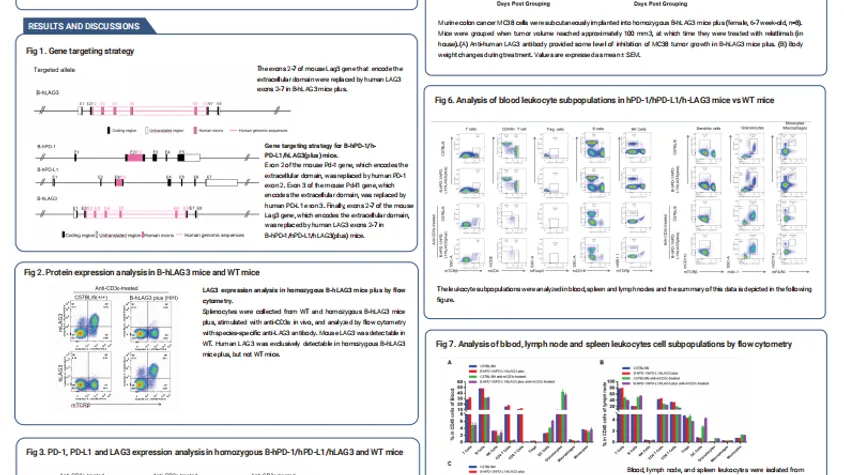 Improved LAG-3 humanized knock-in mouse model for assessment of mono- and 
combination therapy strategies for cancer treatment