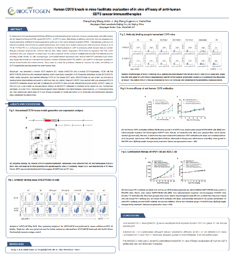 Human CD73 knock-in mice facilitate evaluation of in vivo efficacy of anti-human 
CD73 cancer immunotherapies