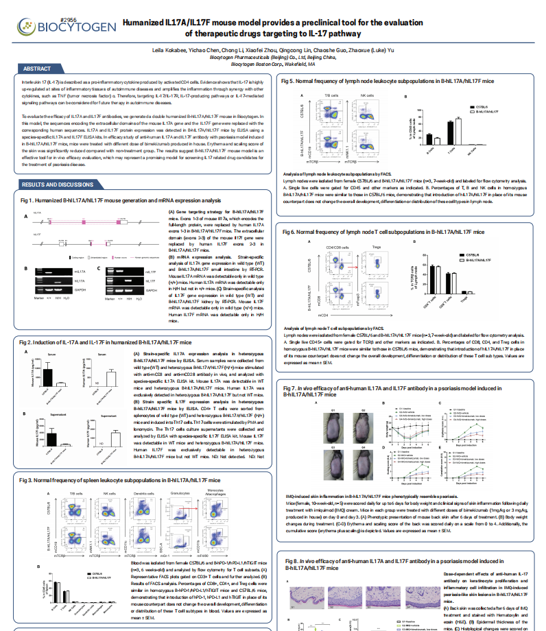Humanized IL17A/IL17F mouse model provides a preclinical tool for the evaluation 
of therapeutic drugs targeting to IL-17 pathway