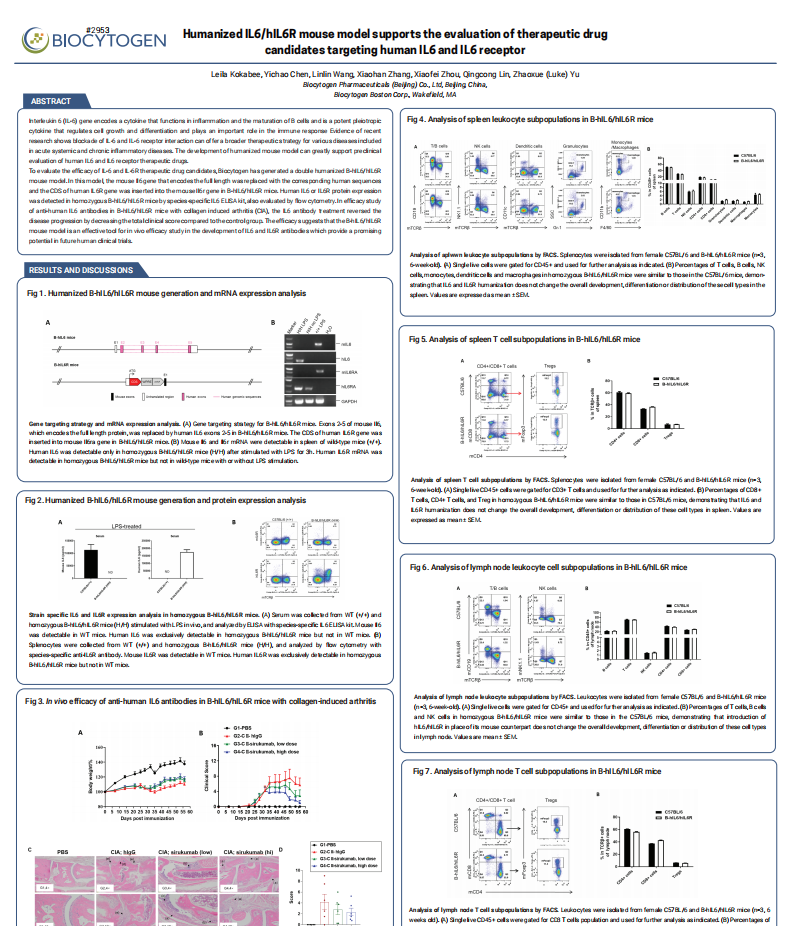 Humanized IL6/hIL6R mouse model supports the evaluation of therapeutic drug 
candidates targeting human IL6 and IL6 receptor