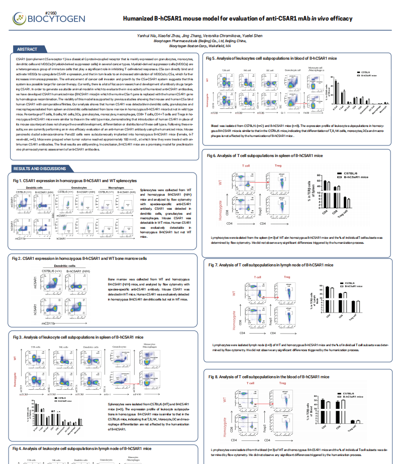 Humanized B-hC5AR1 mouse model for evaluation of anti-C5AR1 mAb in vivo efficacy