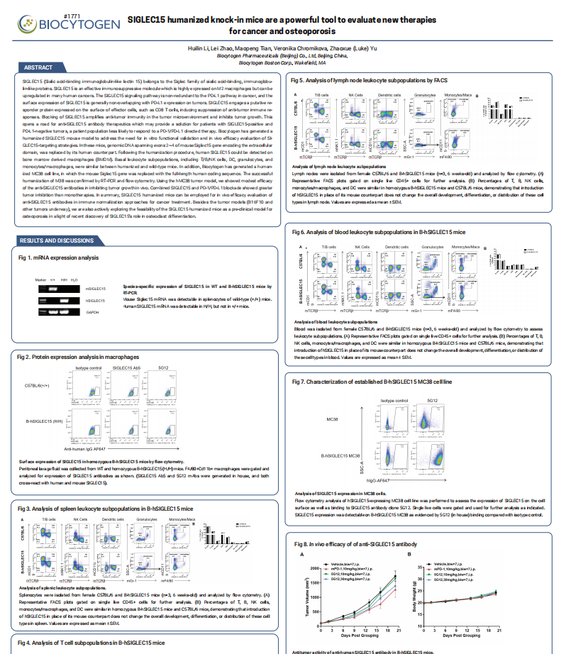 SIGLEC15 humanized knock-in mice are a powerful tool to evaluate new therapies
for cancer and osteoporosis
