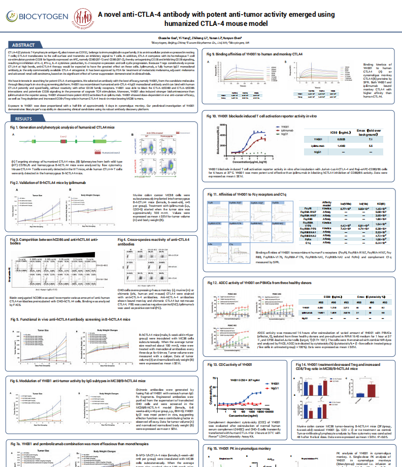 A novel anti-CTLA-4 antibody with potent anti-tumor activity emerged using humanized CTLA-4 mouse model