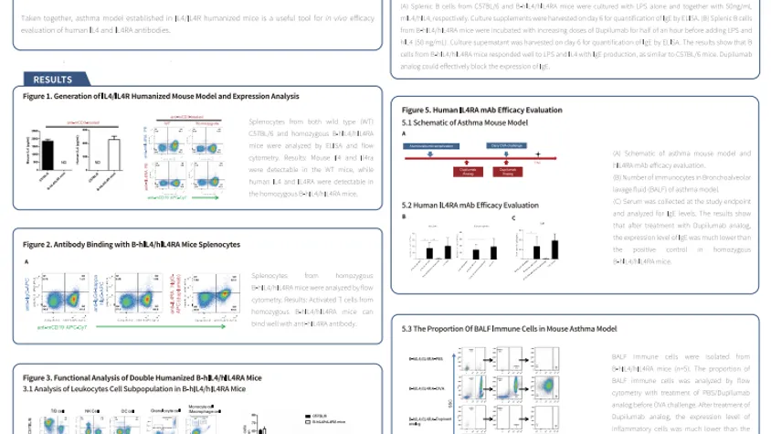 Novel IL4/IL4RA double humanized mouse models for in vivo efficacy evaluation of human IL4 and human IL4RA antibodies in asthma models