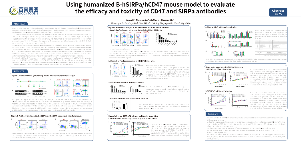 Using humanzied B-hSIRPa/hCD47 mouse model to evaluate the efficacy and toxicity of CD47 and SIRPa antibodies