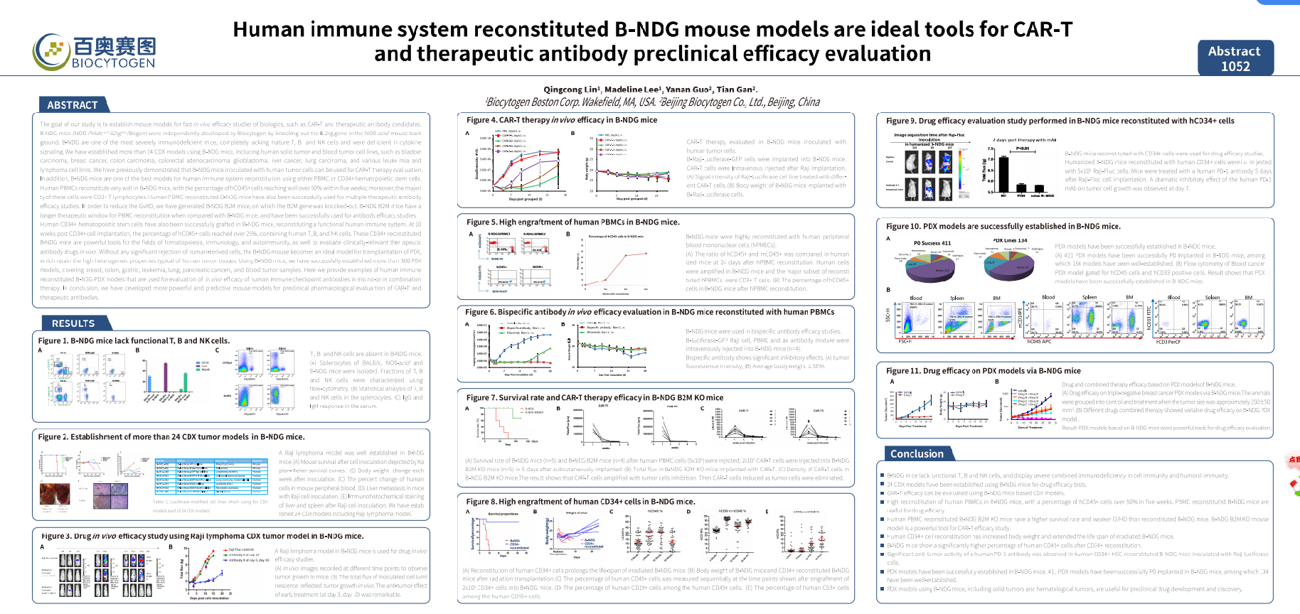 Human immune system reconstituted B-NDG mouse models are ideal tools for CAR-T and therapeutic antibody preclinical efficacy evaluation