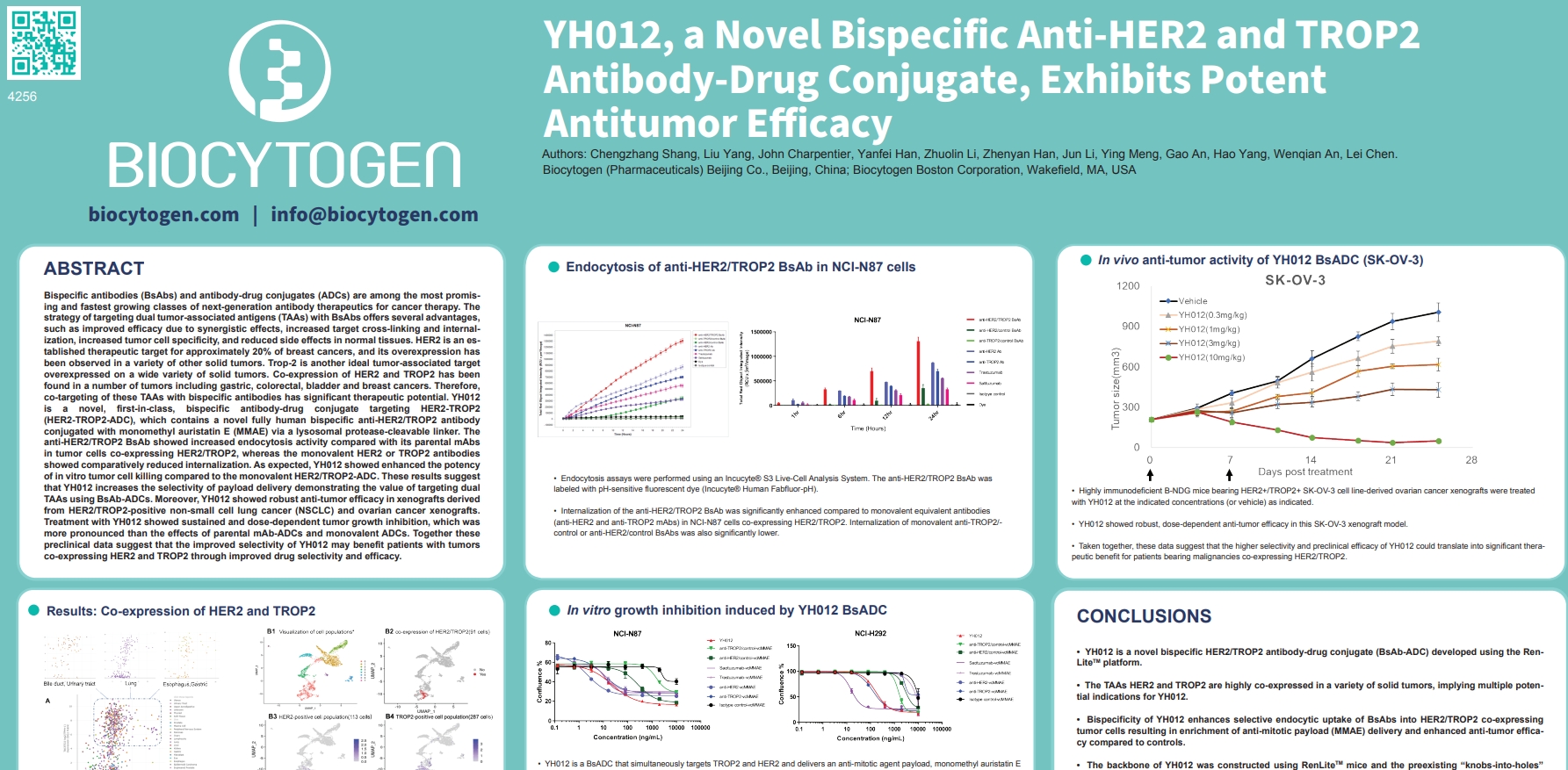 AACR 2022: YH012, a Novel Bispecific Anti-HER2 and TROP2 Antibody-Drug Conjugate, Exhibits Potent Antitumor Efficacy