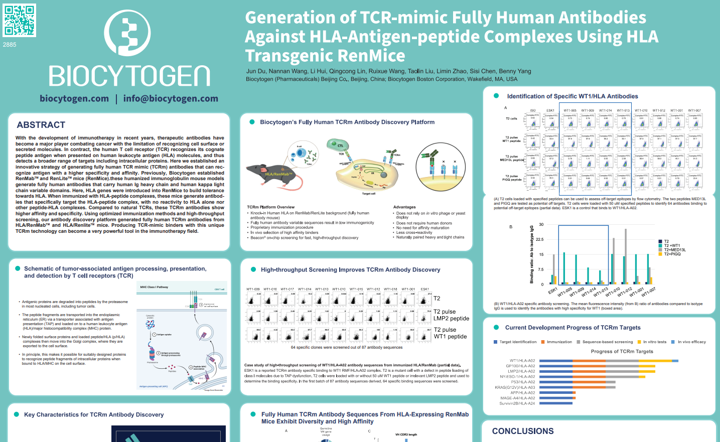 AACR 2022: Generation of TCR-mimic fully human antibodies against HLA-antigen-peptide complexes using HLA transgenic RenMice