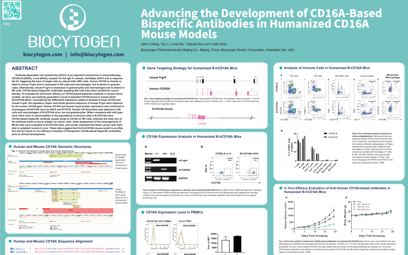 AACR 2022: Advancing the Development of CD16A-Based Bispecific Antibodies in Humanized CD16A Mouse Models