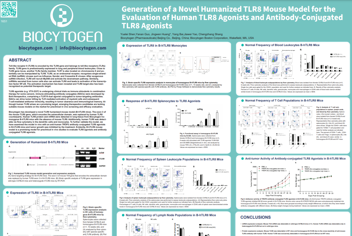 AACR 2022: Generation of a Novel Humanized TLR8 Mouse Model for the Evaluation of Human TLR8 Agonists and Antibody-Conjugated TLR8 Agonists