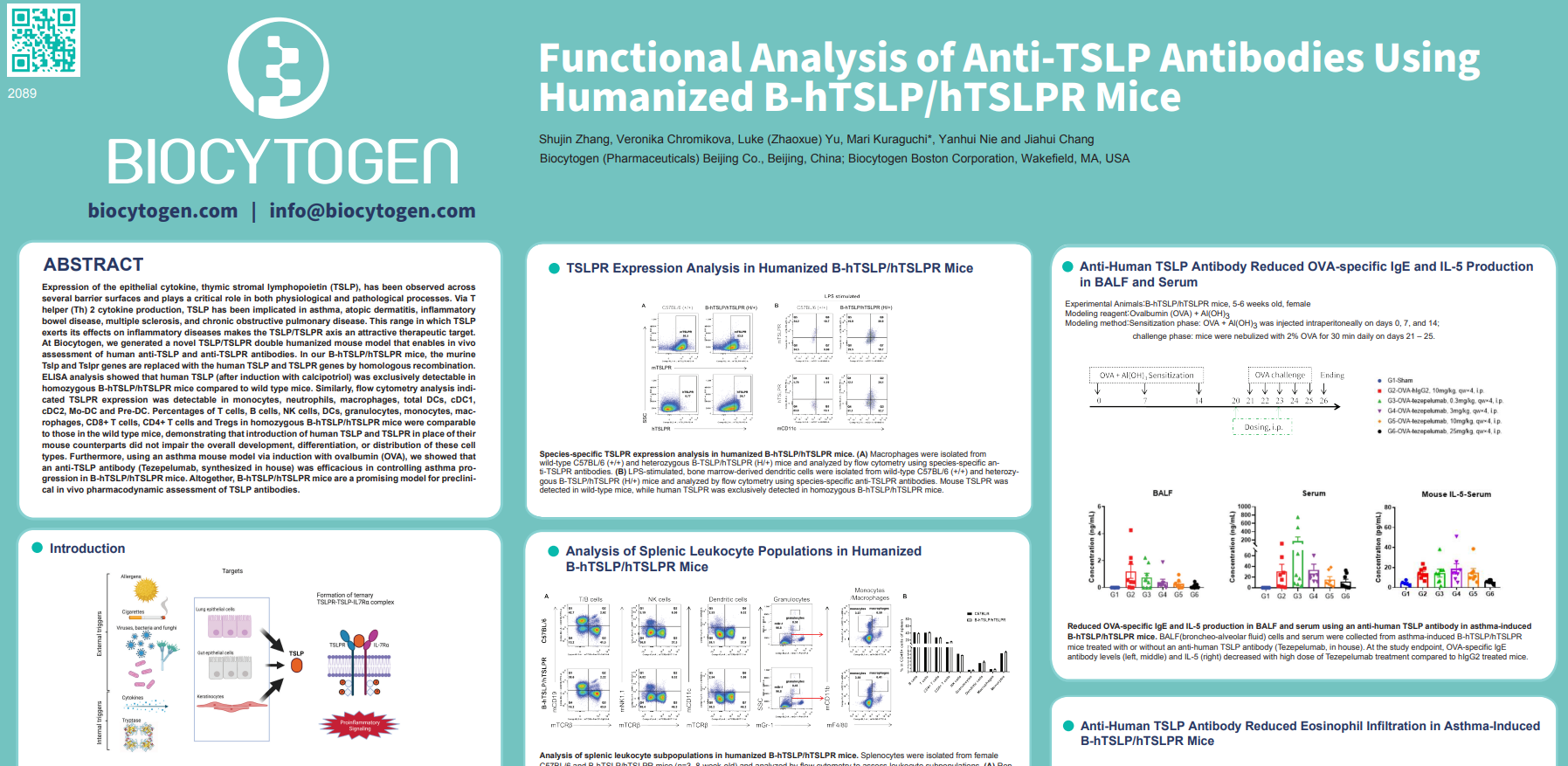 AACR 2022: Functional Analysis of Anti-TSLP Antibodies Using Humanized B-hTSLP/hTSLPR Mice