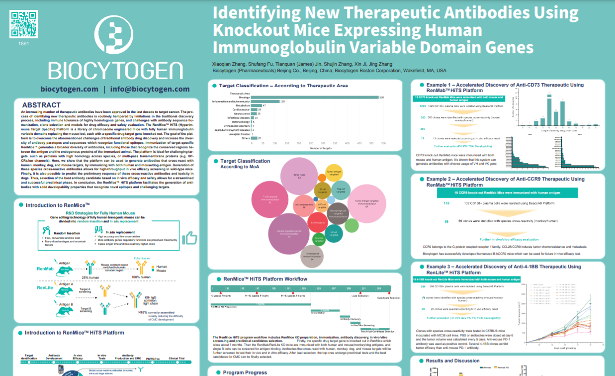 AACR 2022: Identifying New Therapeutic Antibodies Using Knockout Mice Expressing Human Immunoglobulin Variable Domain Genes