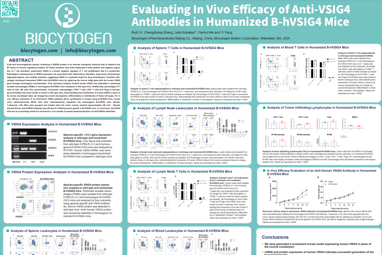 AACR 2022: Evaluating In Vivo Efficacy of Anti-VSIG4 Antibodies in Humanized B-hVSIG4 Mice