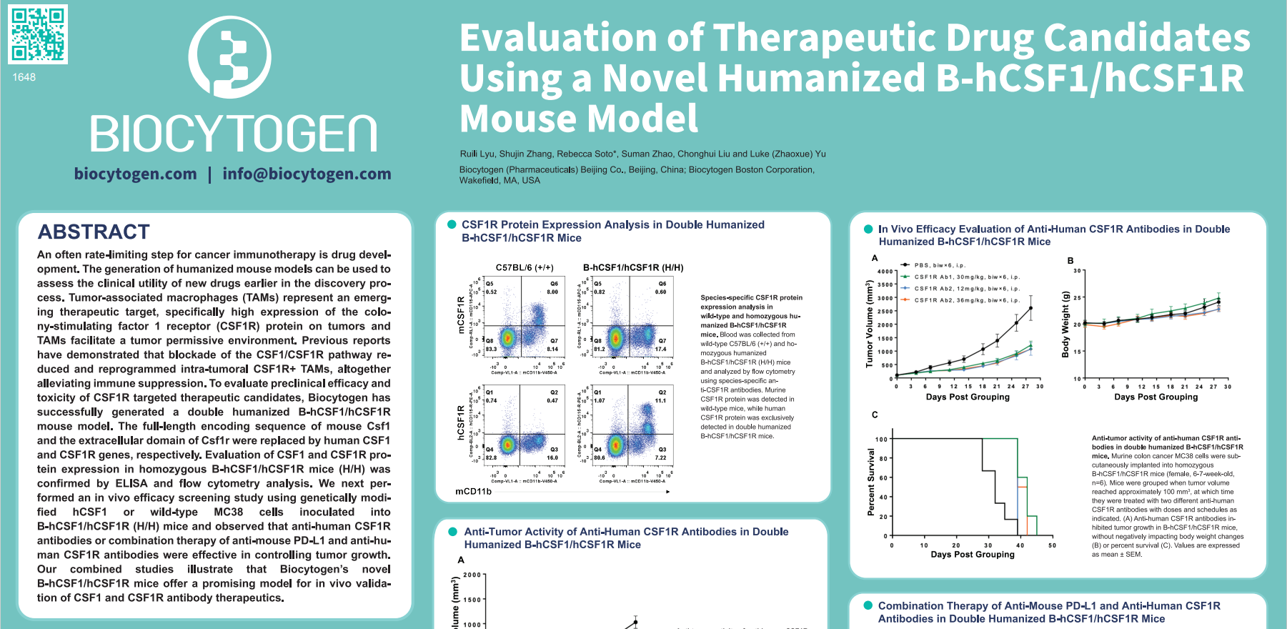 AACR 2022: Evaluation of Therapeutic Drug Candidates Using a Novel Humanized B-hCSF1/hCSF1R