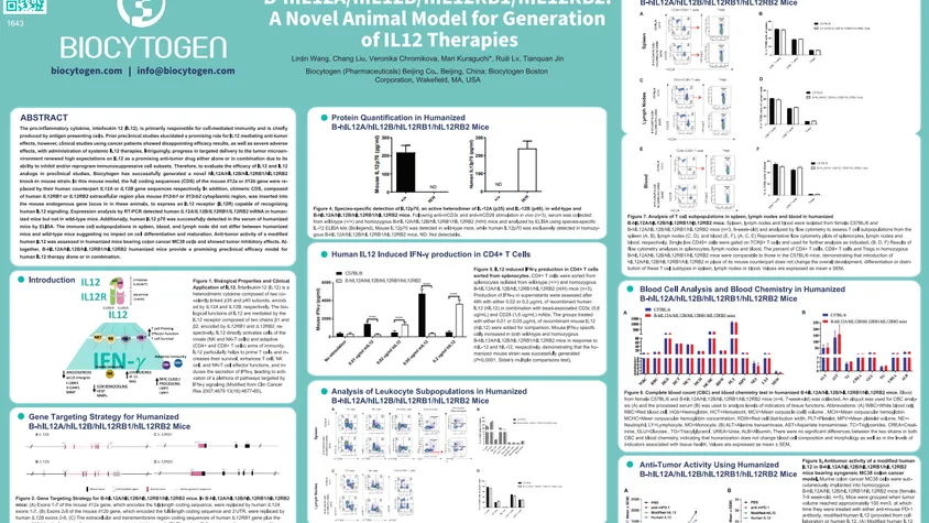 AACR 2022: B-hIL12A/hIL12B/hIL12RB1/hIL12RB2: A Novel Animal Model for Generation of IL12 Therapies