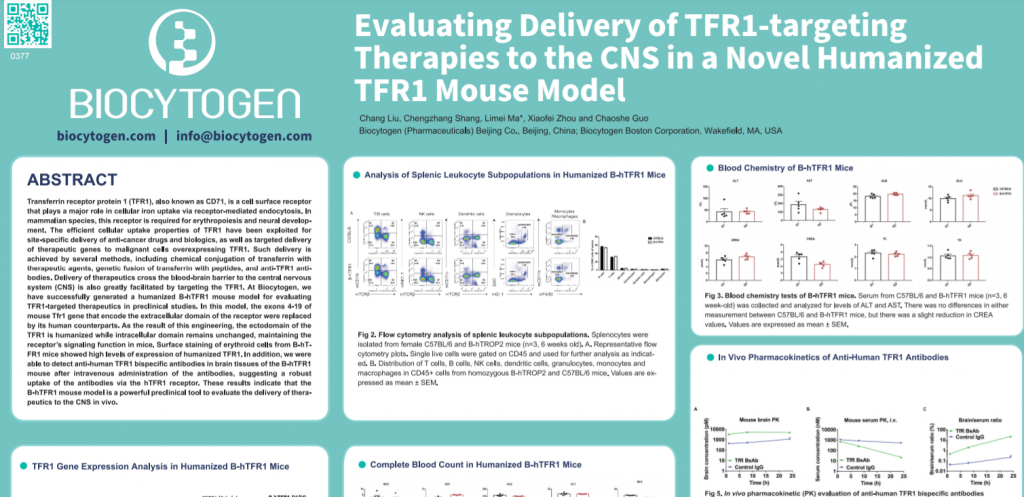 AACR 2022: Evaluating Delivery of TFR1-targeting Therapies to the CNS in a Novel Humanized TFR1 Mouse Model
