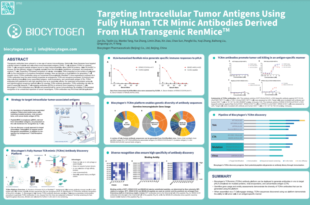AACR 2023: Targeting Intracellular Tumor Antigens Using Fully Human TCR Mimic Antibodies Derived From HLA Transgenic RenMice