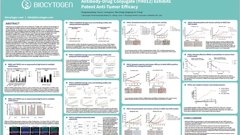 AACR 2023: A First-In-Class Anti-HER2/TROP2 Bispecific Antibody-Drug Conjugate (YH012) Exhibits Potent Anti-Tumor Efficacy