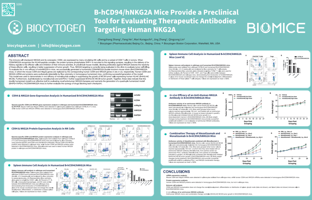 AACR 2023: B-hCD94/hNKG2A Mice Provide a Preclinical Tool for Evaluating Therapeutic Antibodies Targeting Human NKG2A