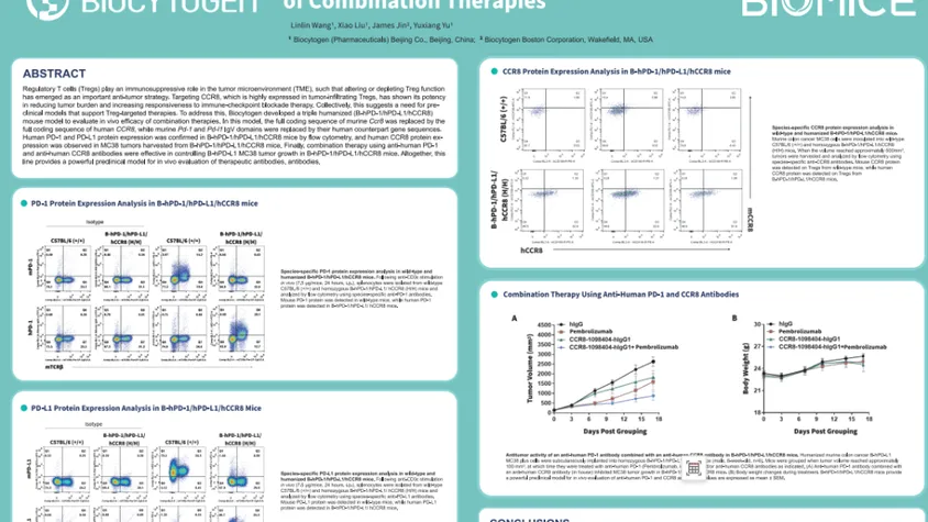 AACR 2023: A Novel Triple Humanized B-hPD-1/hPD-L1/hCCR8 Mouse Model to Evaluate In vivo Efficacy of Combination Therapies